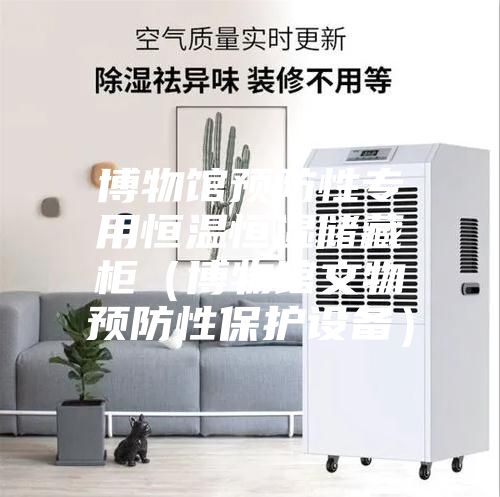 博物馆预防性专用恒温恒湿储藏柜(博物馆文物预防性保护设备)