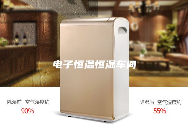 电子恒温恒湿车间