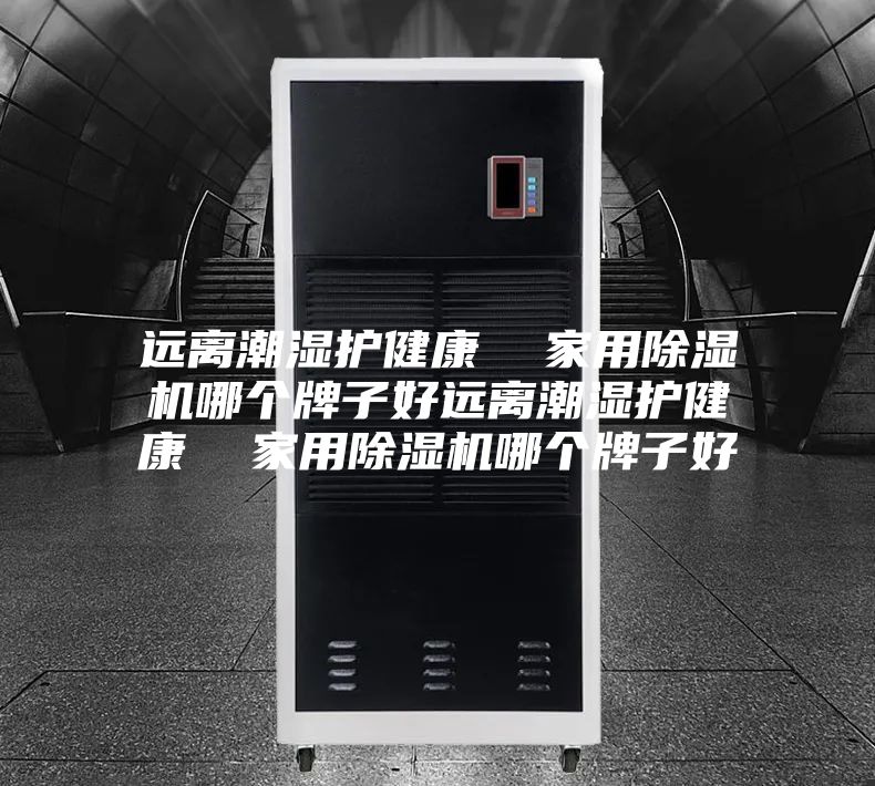 远离潮湿护健康  家用除湿机哪个牌子好远离潮湿护健康  家用除湿机哪个牌子好