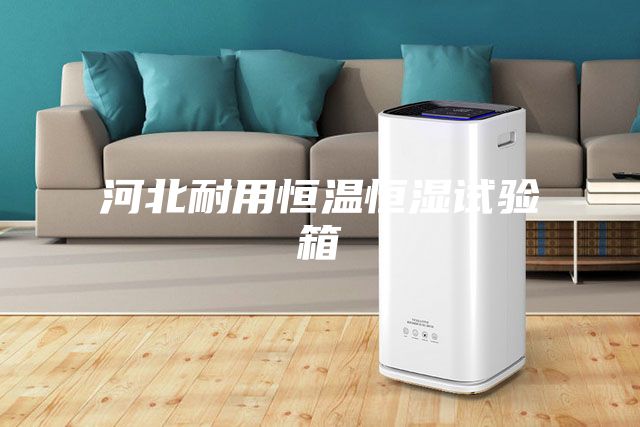 河北耐用恒温恒湿试验箱