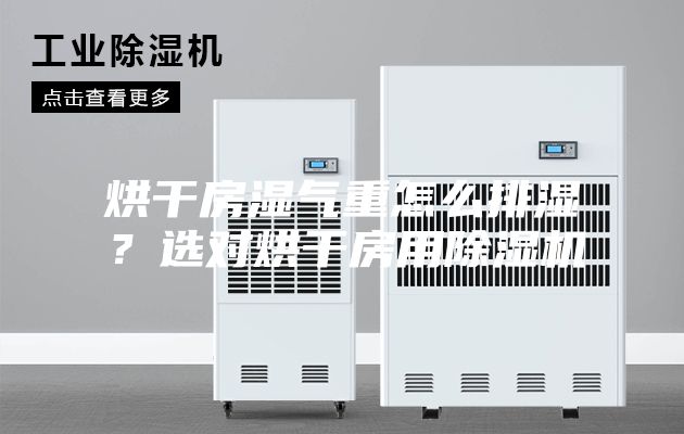 烘干房湿气重怎么排湿？选对烘干房用除湿机