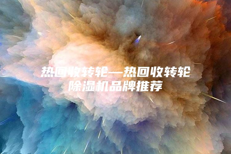 热回收转轮—热回收转轮除湿机品牌推荐