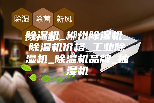除湿机_郴州除湿机_除湿机价格_工业除湿机_除湿机品牌_抽湿机
