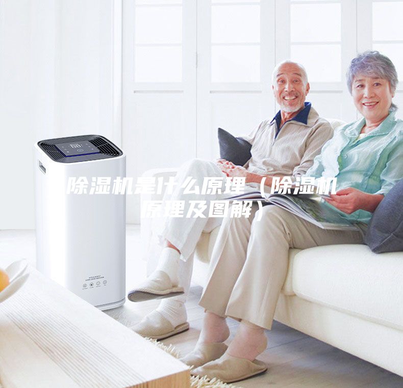 除湿机是什么原理（除湿机原理及图解）