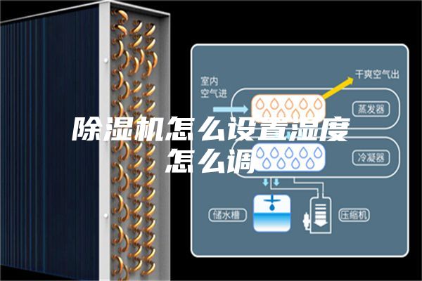 除湿机怎么设置湿度怎么调