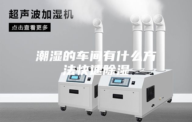 潮湿的车间有什么方法快速除湿