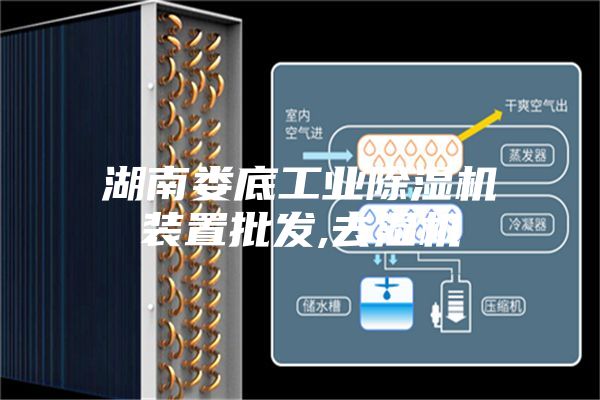 湖南娄底工业除湿机装置批发,去湿机