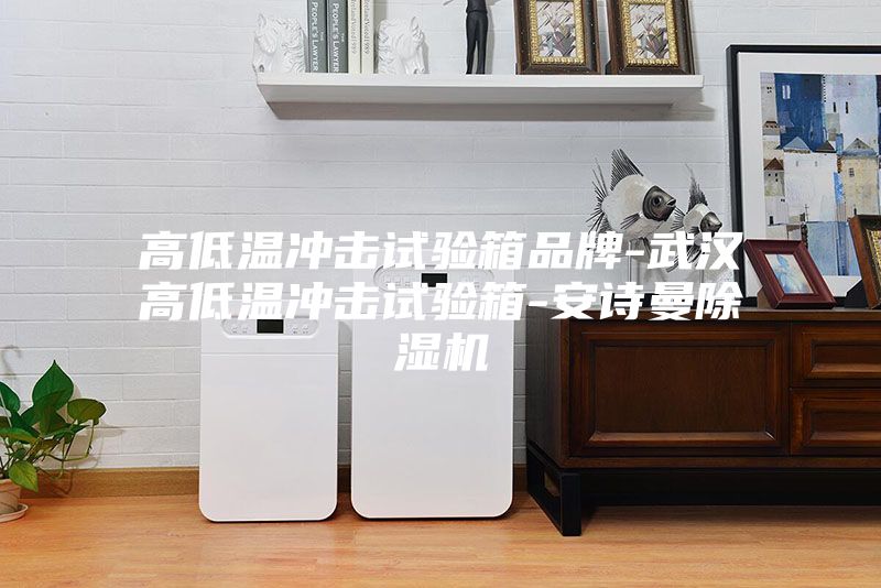 高低温冲击试验箱品牌-武汉高低温冲击试验箱-安诗曼除湿机