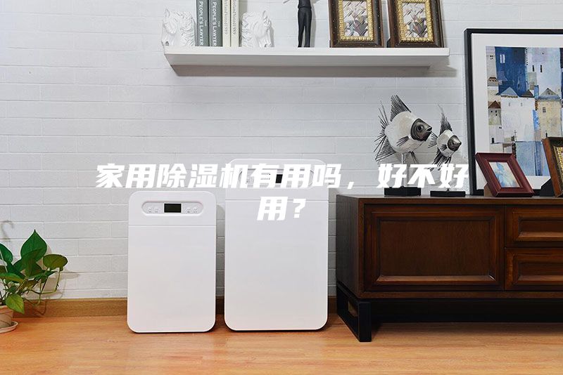 家用除湿机有用吗，好不好用？