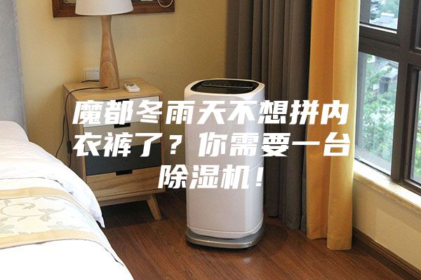 魔都冬雨天不想拼内衣裤了?你需要一台除湿机!