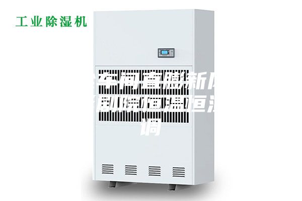 无尘车间直膨新风机组影剧院恒温恒湿空调