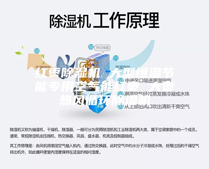红枣除湿机 大型恒温节能专用空气能红枣 大枣热风循环除湿机