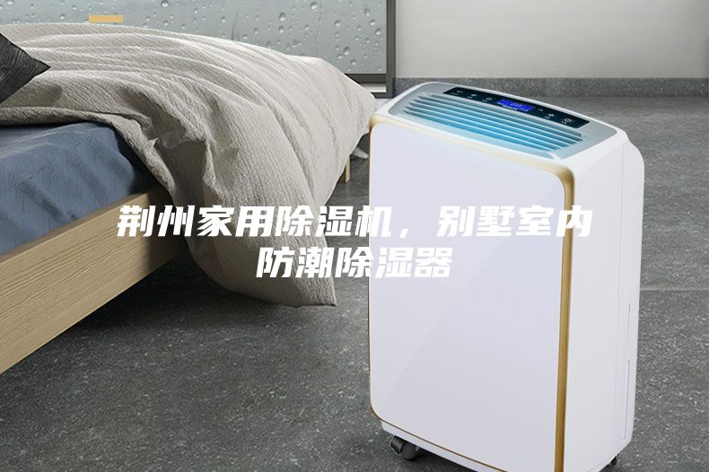 荆州家用除湿机，别墅室内防潮除湿器