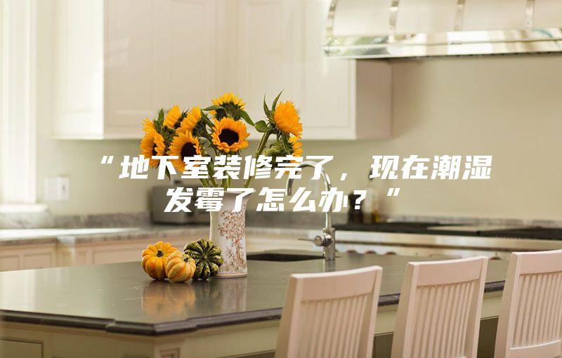 “地下室装修完了,现在潮湿发霉了怎么办?”