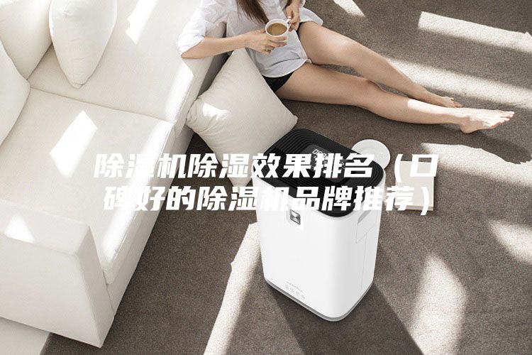 除湿机除湿效果排名(口碑好的除湿机品牌推荐)