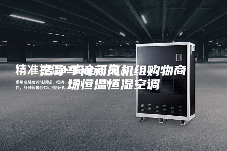 洁净车间新风机组购物商场恒温恒湿空调