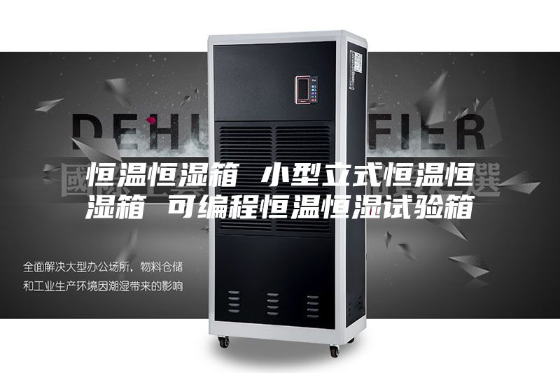 恒温恒湿箱 小型立式恒温恒湿箱 可编程恒温恒湿试验箱