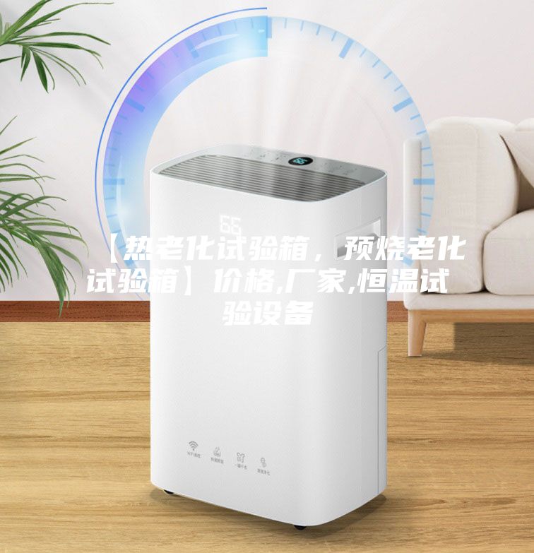 【热老化试验箱，预烧老化试验箱】价格,厂家,恒温试验设备