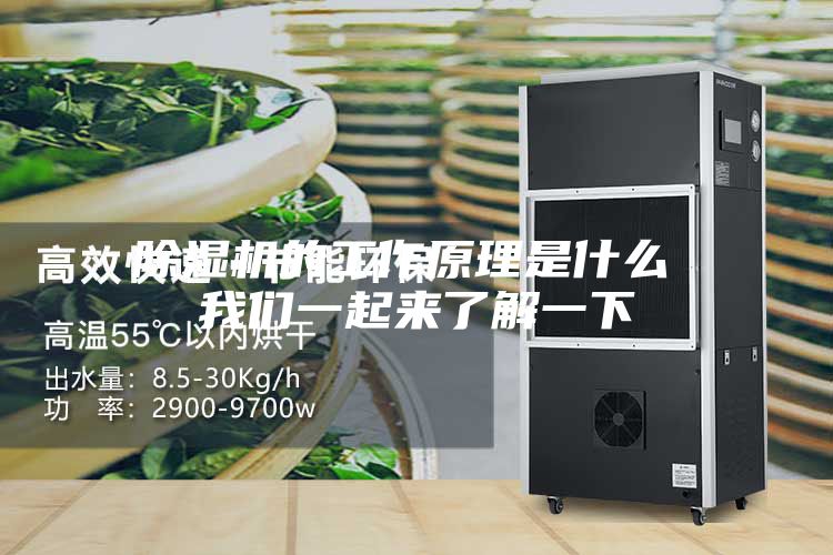 除湿机的工作原理是什么 我们一起来了解一下