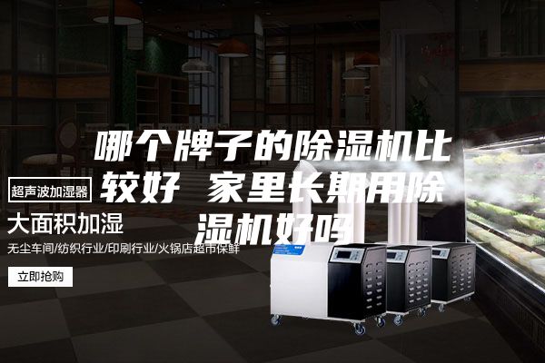 哪个牌子的除湿机比较好 家里长期用除湿机好吗