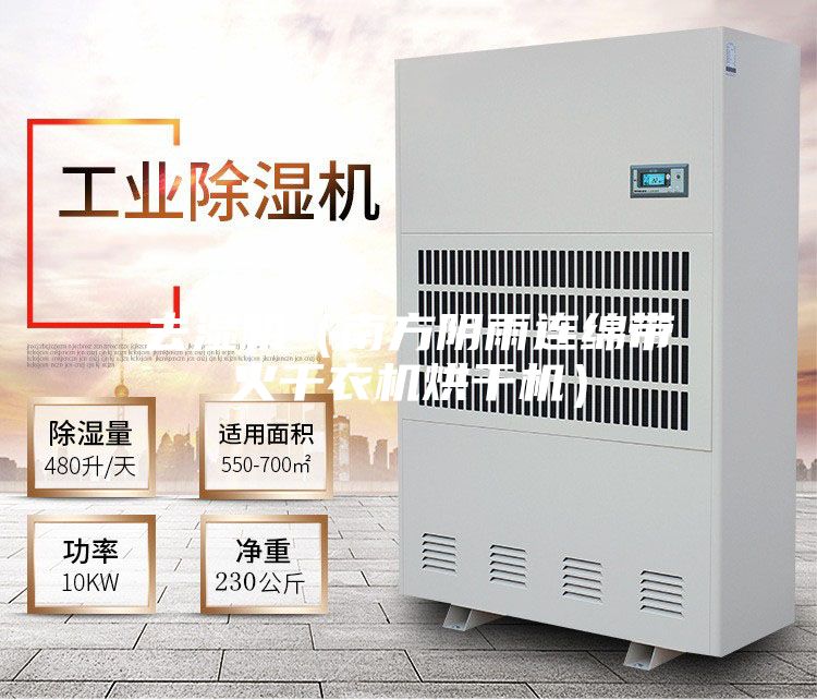 去湿机（南方阴雨连绵带火干衣机烘干机）