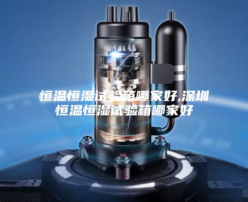恒温恒湿试验箱哪家好,深圳恒温恒湿试验箱哪家好