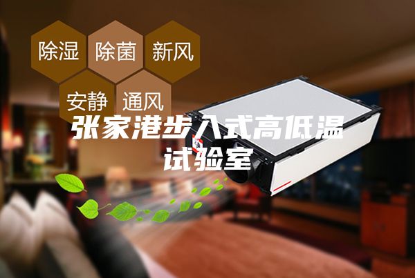 张家港步入式高低温试验室