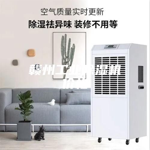 赣州工业除湿机价格