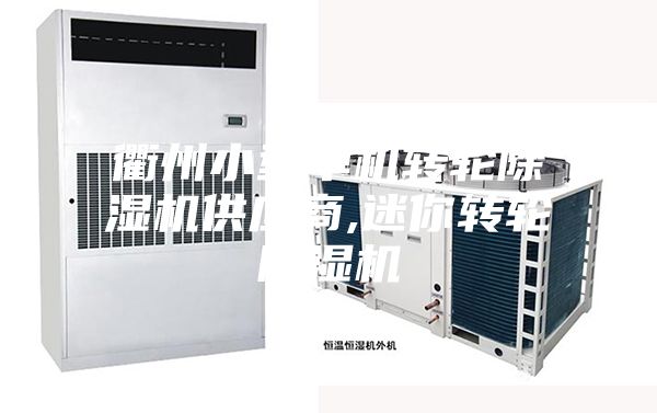 衢州小型单机转轮除湿机供应商,迷你转轮除湿机
