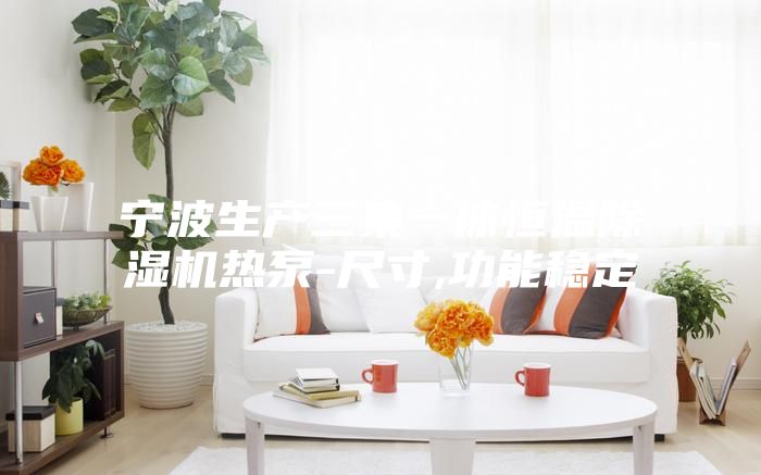 宁波生产三集一体恒温除湿机热泵-尺寸,功能稳定