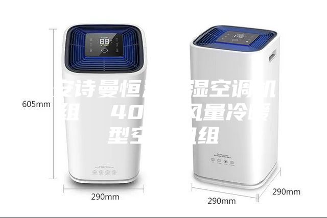 安诗曼恒温恒湿空调机组  4000风量冷暖型空调机组