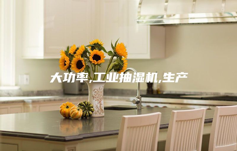 大功率,工业抽湿机,生产