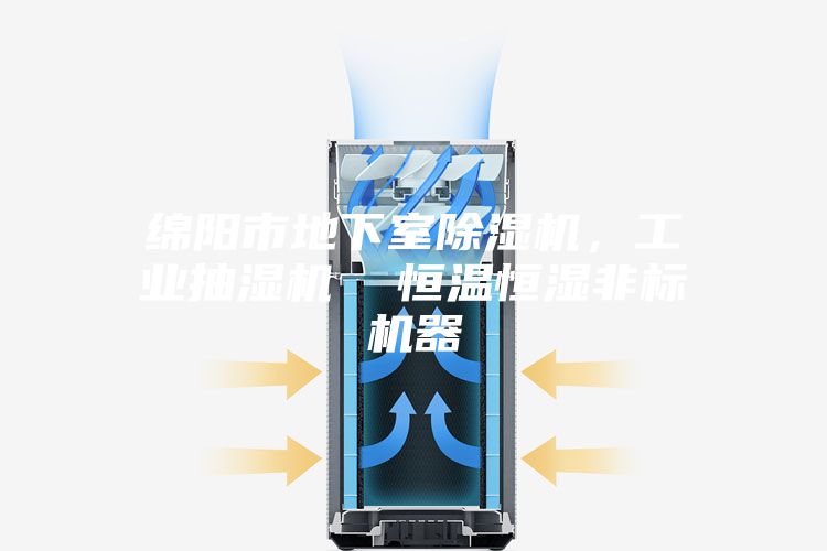 绵阳市地下室除湿机,工业抽湿机  恒温恒湿非标机器