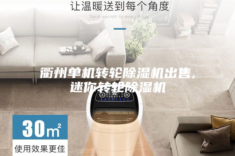 衢州单机转轮除湿机出售,迷你转轮除湿机