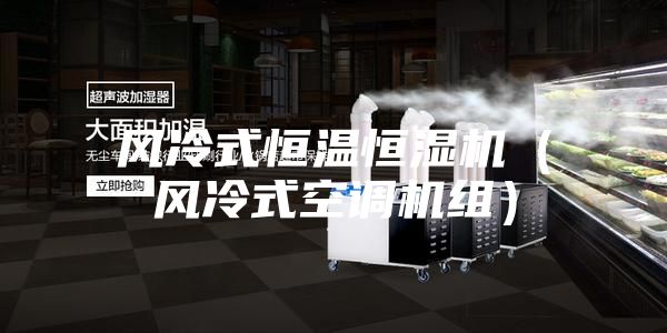 风冷式恒温恒湿机（风冷式空调机组）