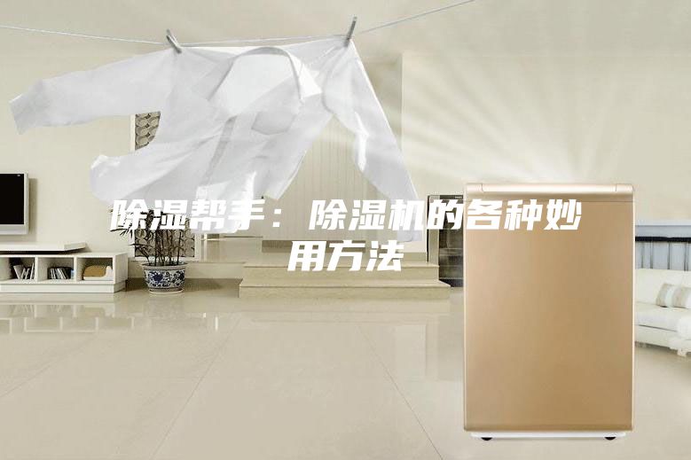 除湿帮手：除湿机的各种妙用方法