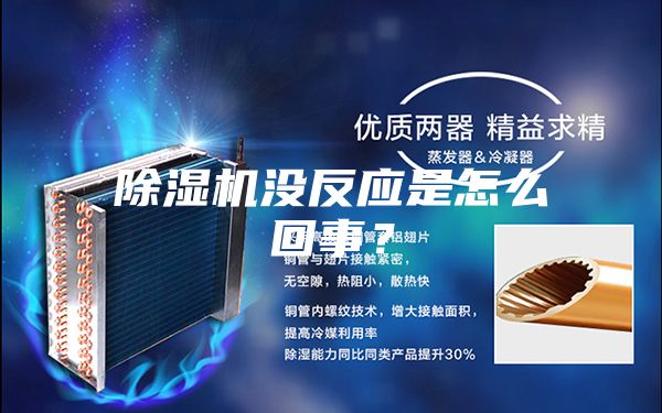 除湿机没反应是怎么回事?