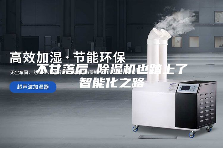 不甘落后 除湿机也踏上了智能化之路