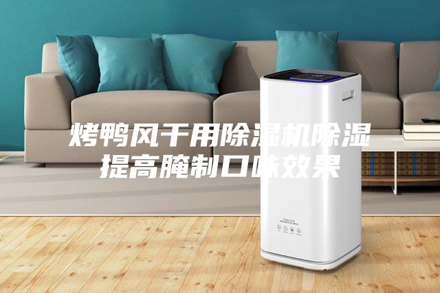 烤鸭风干用除湿机除湿提高腌制口味效果