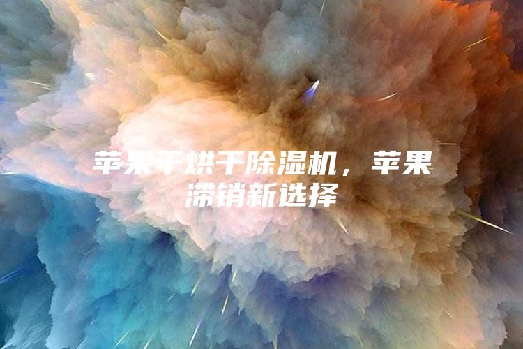 苹果干烘干除湿机，苹果滞销新选择