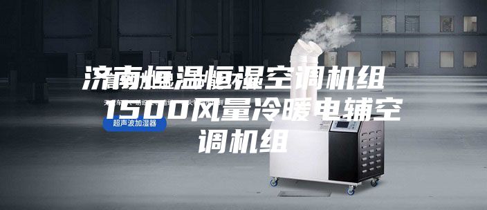 济南恒温恒湿空调机组  1500风量冷暖电辅空调机组