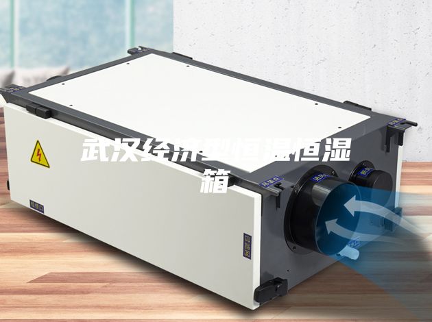 武汉经济型恒温恒湿箱