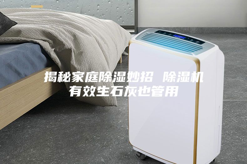 揭秘家庭除湿妙招 除湿机有效生石灰也管用