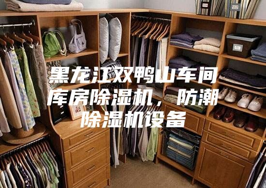 黑龙江双鸭山车间库房除湿机,防潮除湿机设备