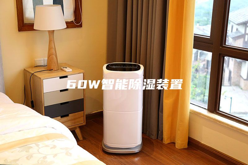 60W智能除湿装置