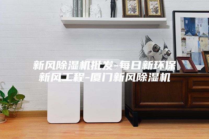 新风除湿机批发-每日新环保新风工程-厦门新风除湿机