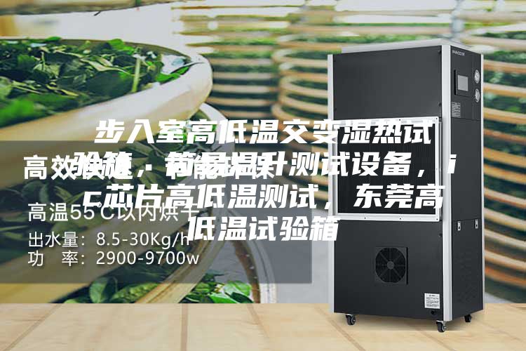 步入室高低温交变湿热试验箱，简易温升测试设备，ic芯片高低温测试，东莞高低温试验箱