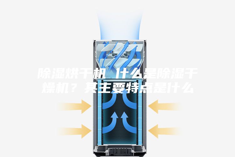 除湿烘干机 什么是除湿干燥机？其主要特点是什么
