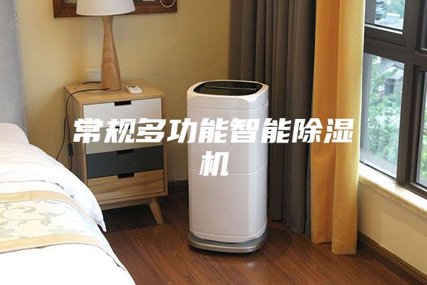 常规多功能智能除湿机