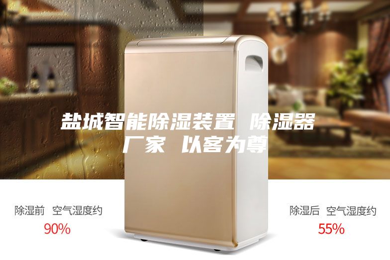盐城智能除湿装置 除湿器 厂家 以客为尊
